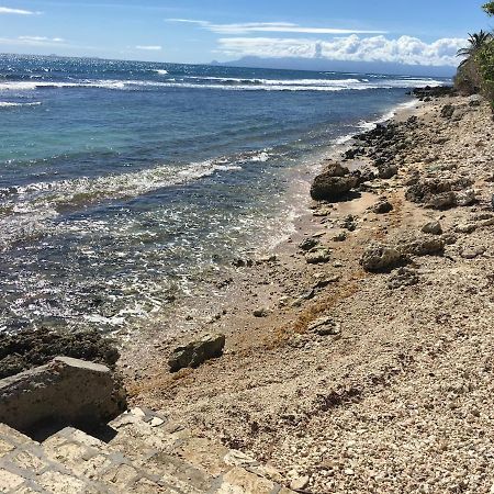 סן-פרנסואה Villa Iguanou Et Piscine En Bord De Mer Proche Plages Marina Et Golf מראה חיצוני תמונה