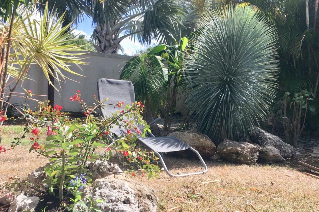 סן-פרנסואה Villa Iguanou Et Piscine En Bord De Mer Proche Plages Marina Et Golf מראה חיצוני תמונה