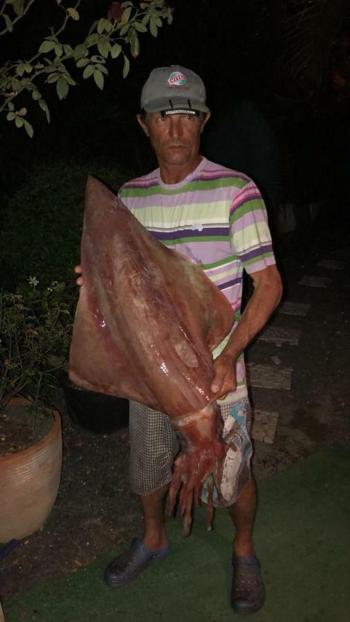 סן-פרנסואה Villa Iguanou Et Piscine En Bord De Mer Proche Plages Marina Et Golf מראה חיצוני תמונה